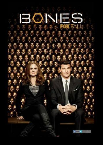  / Bones (2014-2015)